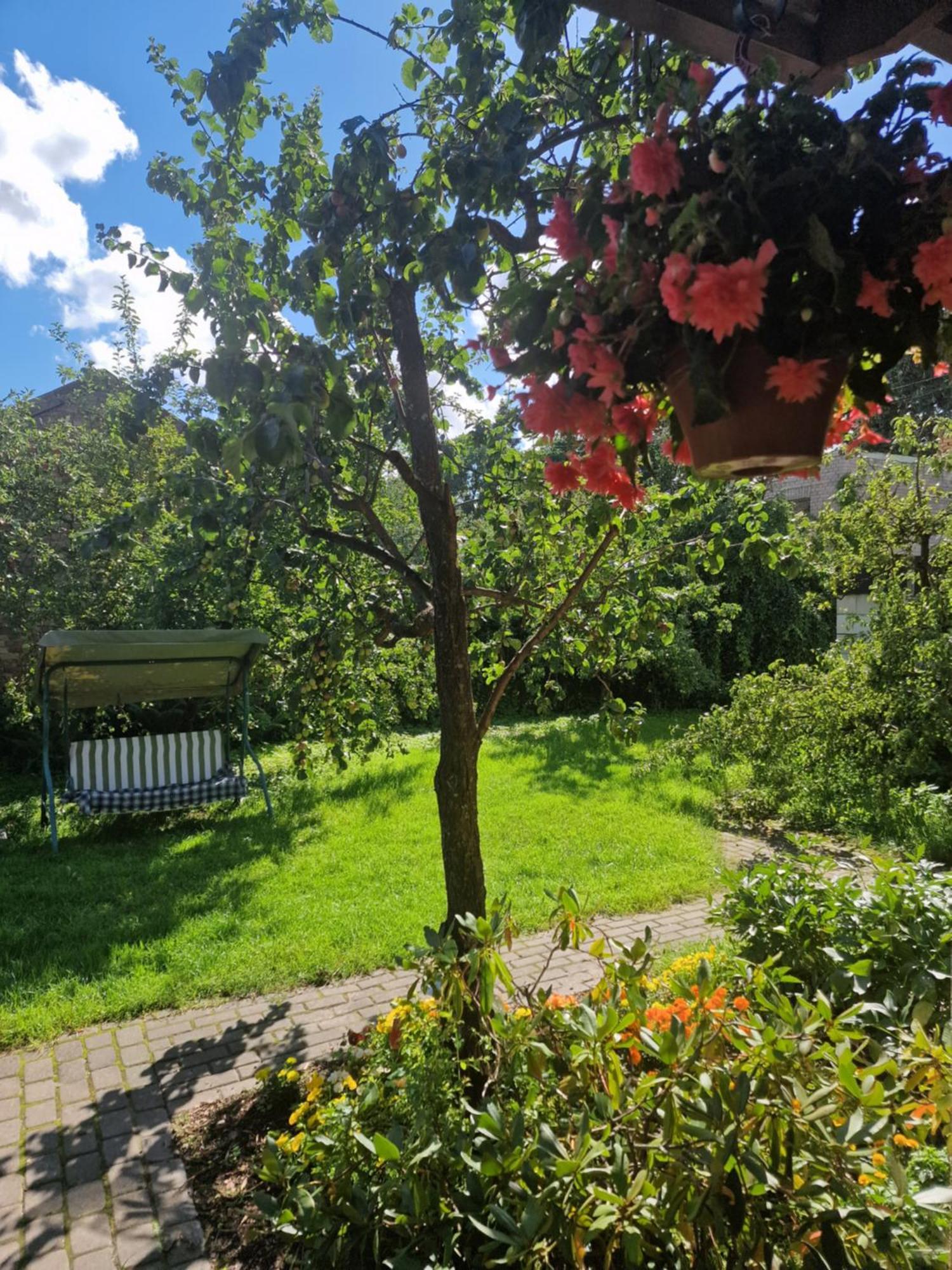 Boutigue City House With Terrace And Garden Free Parking Riga Exteriör bild